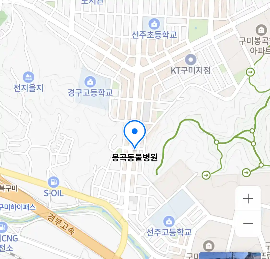 봉곡동물병원