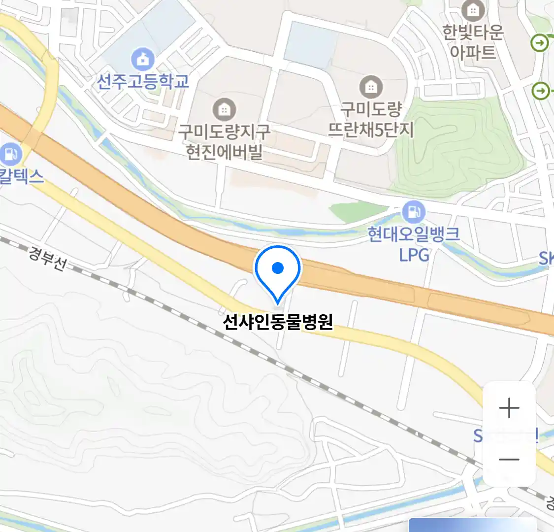 선샤인동물병원