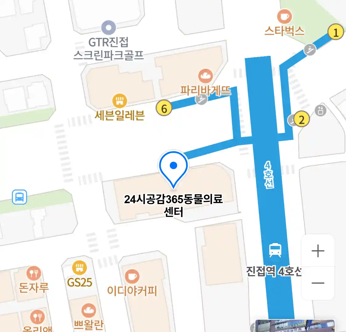 24시공감365동물의료센터