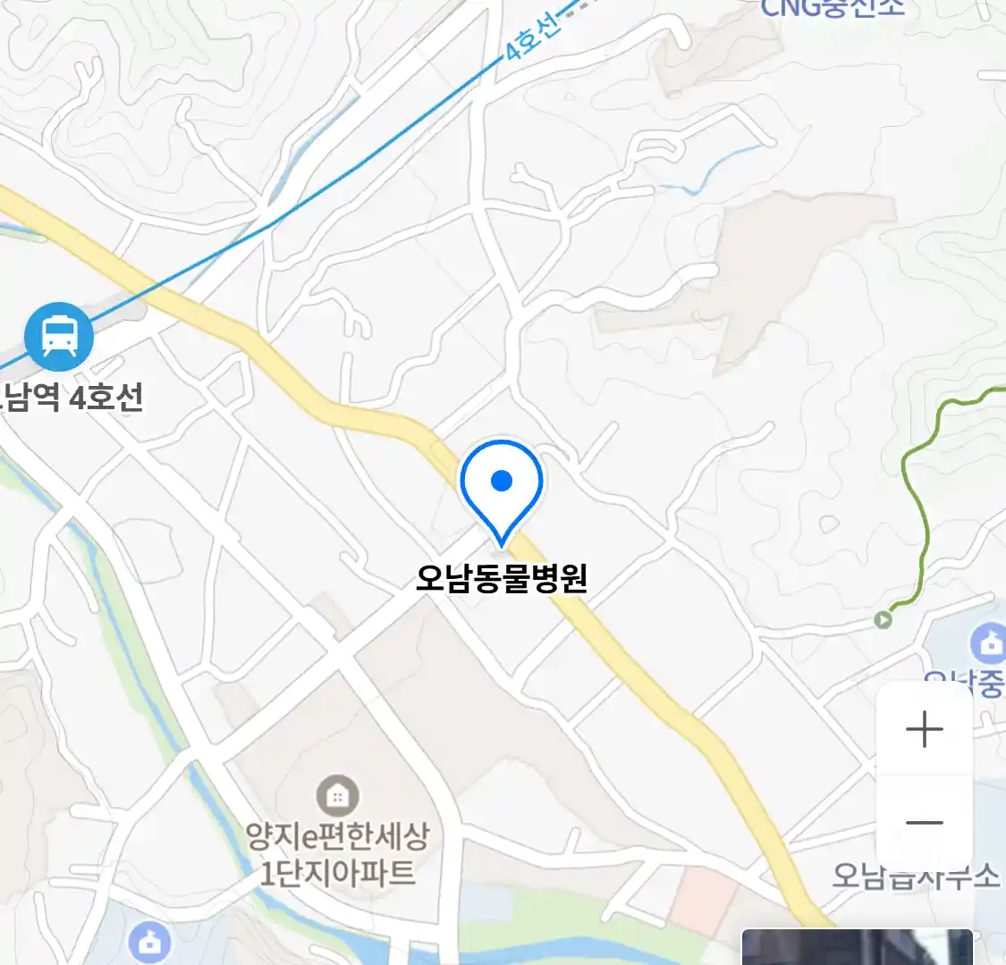 오남동물병원
