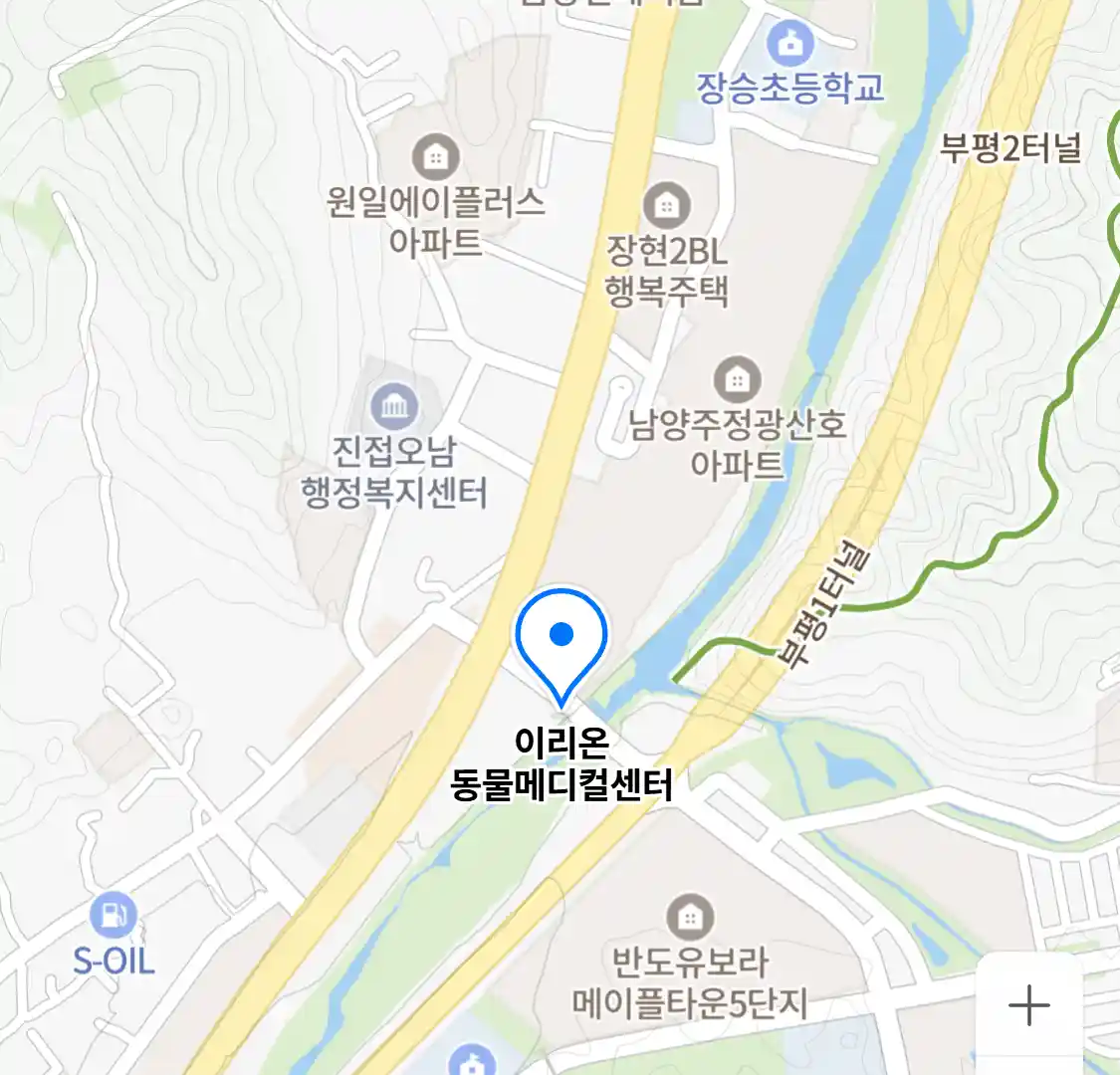 이리온 동물메디컬센터
