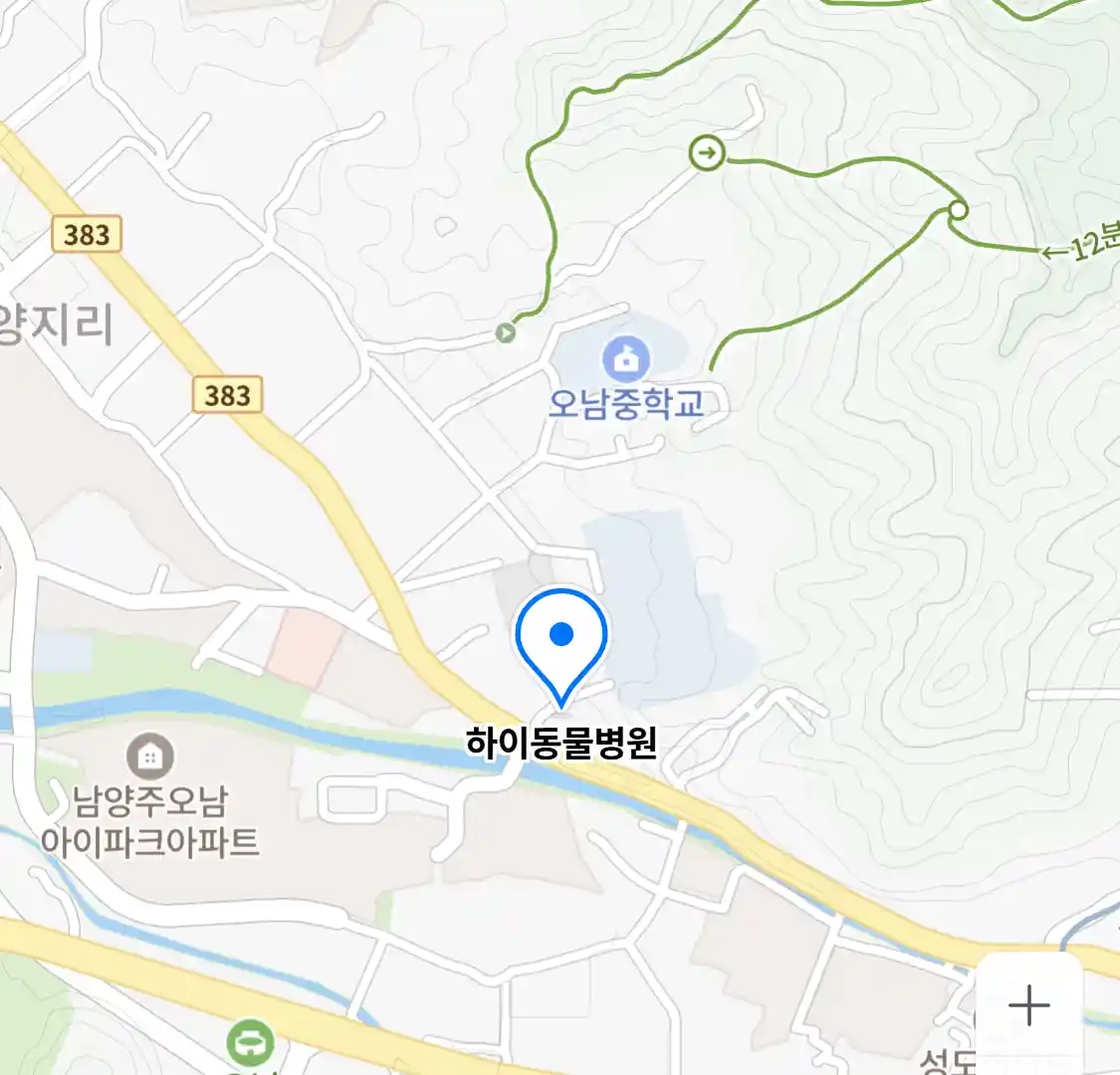 하이동물병원
