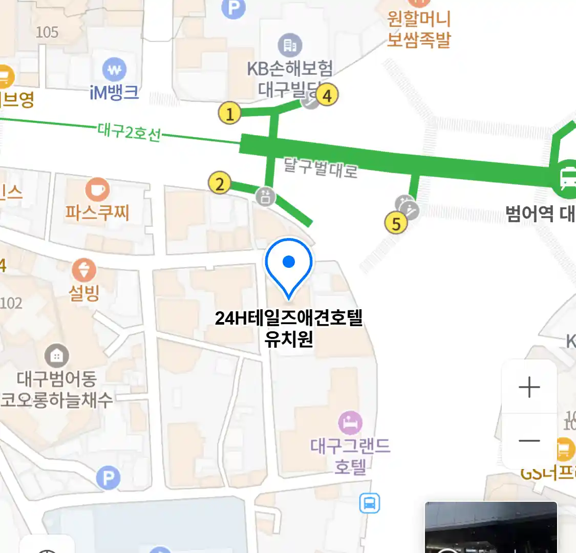 24H테일즈애견호텔 유치원