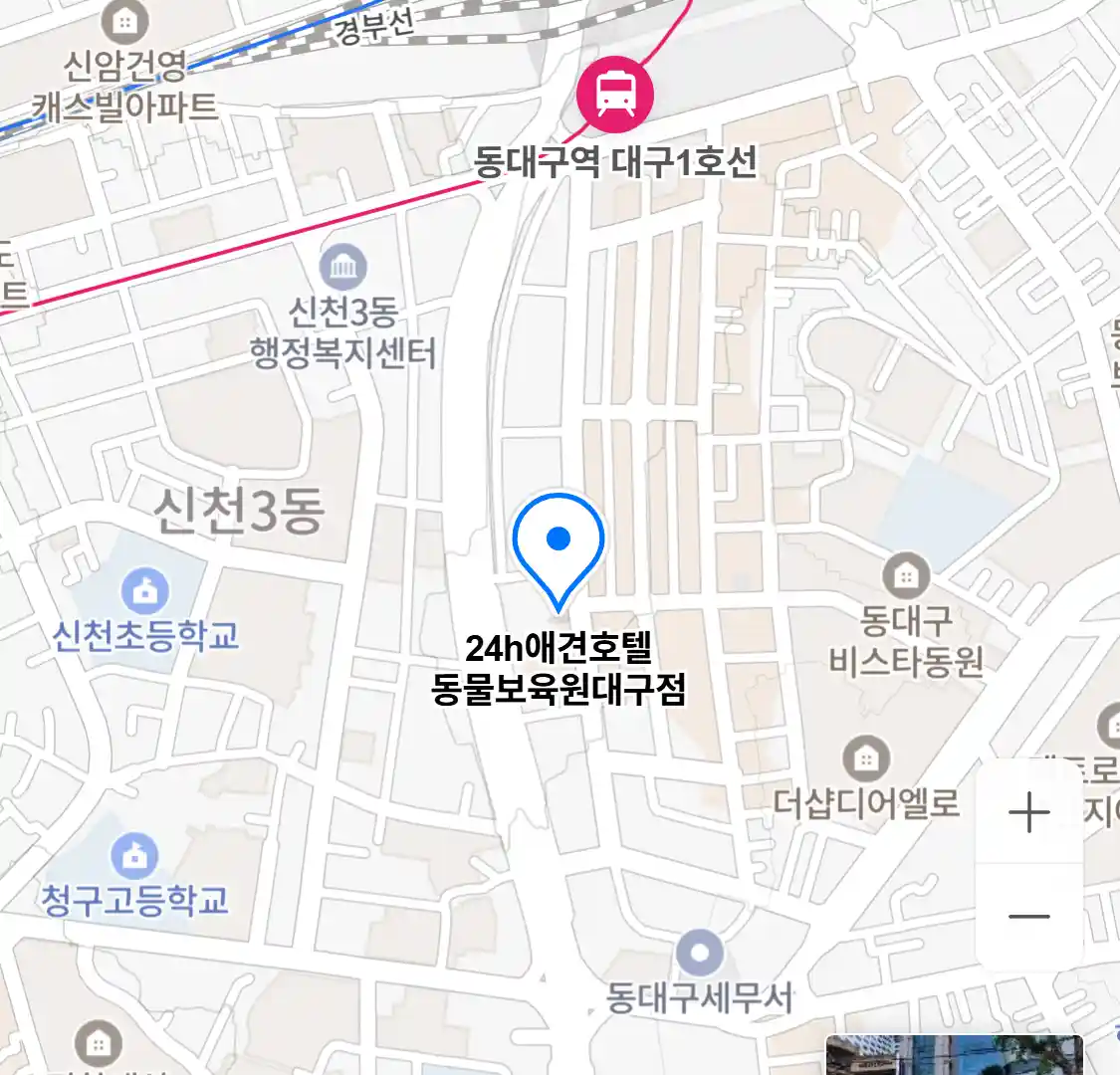 24h애견호텔 동물보육원대구점