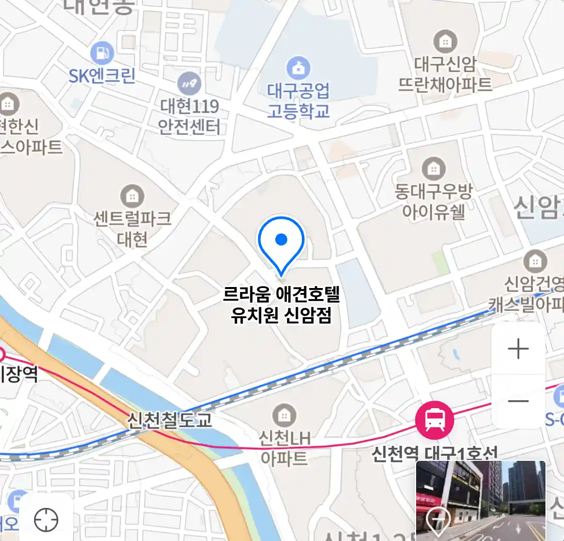 르라움 애견호텔 유치원 신암점