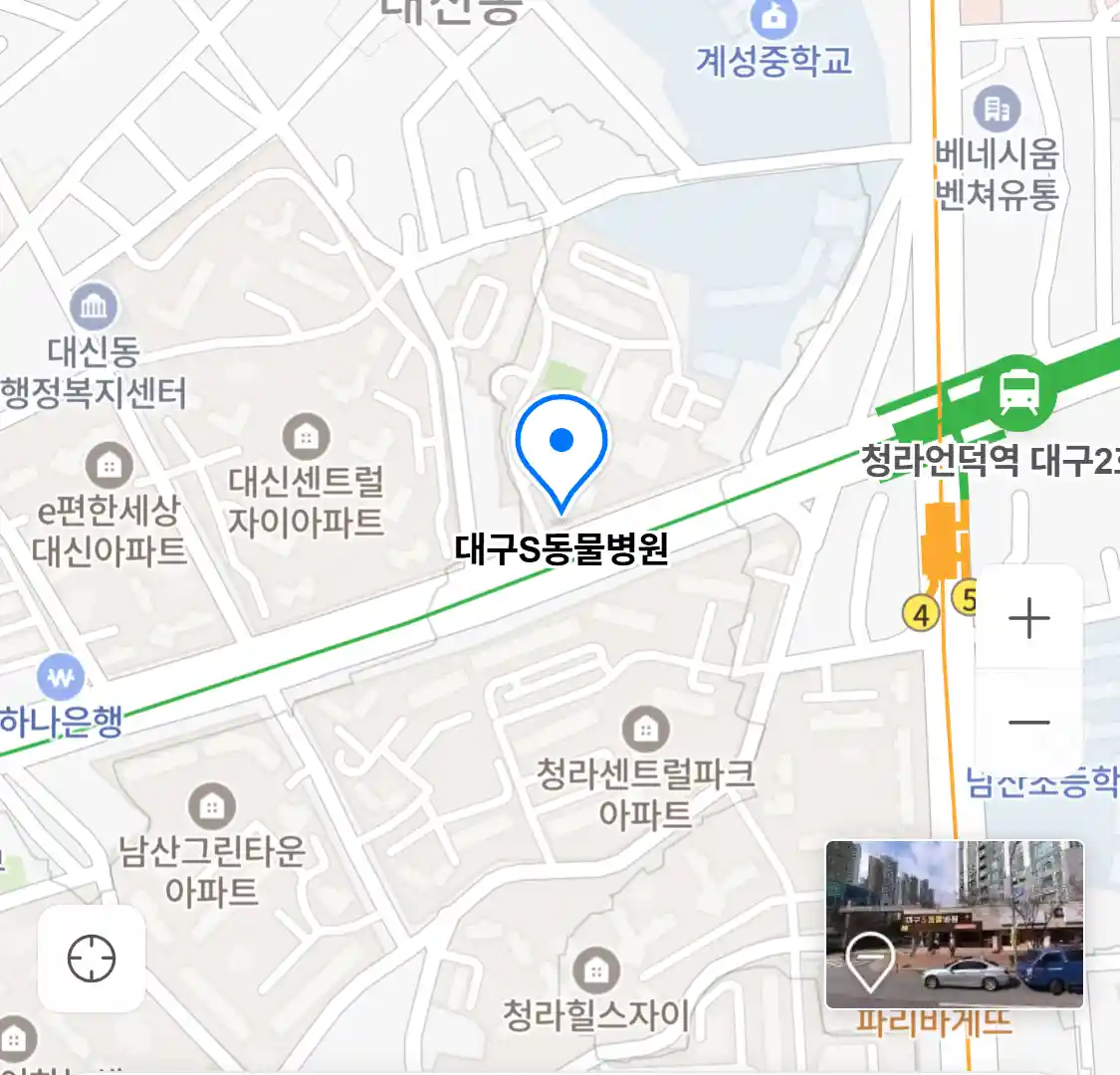대구S동물병원