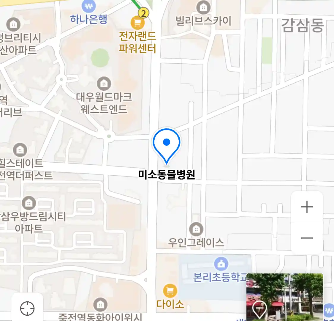 미소동물병원
