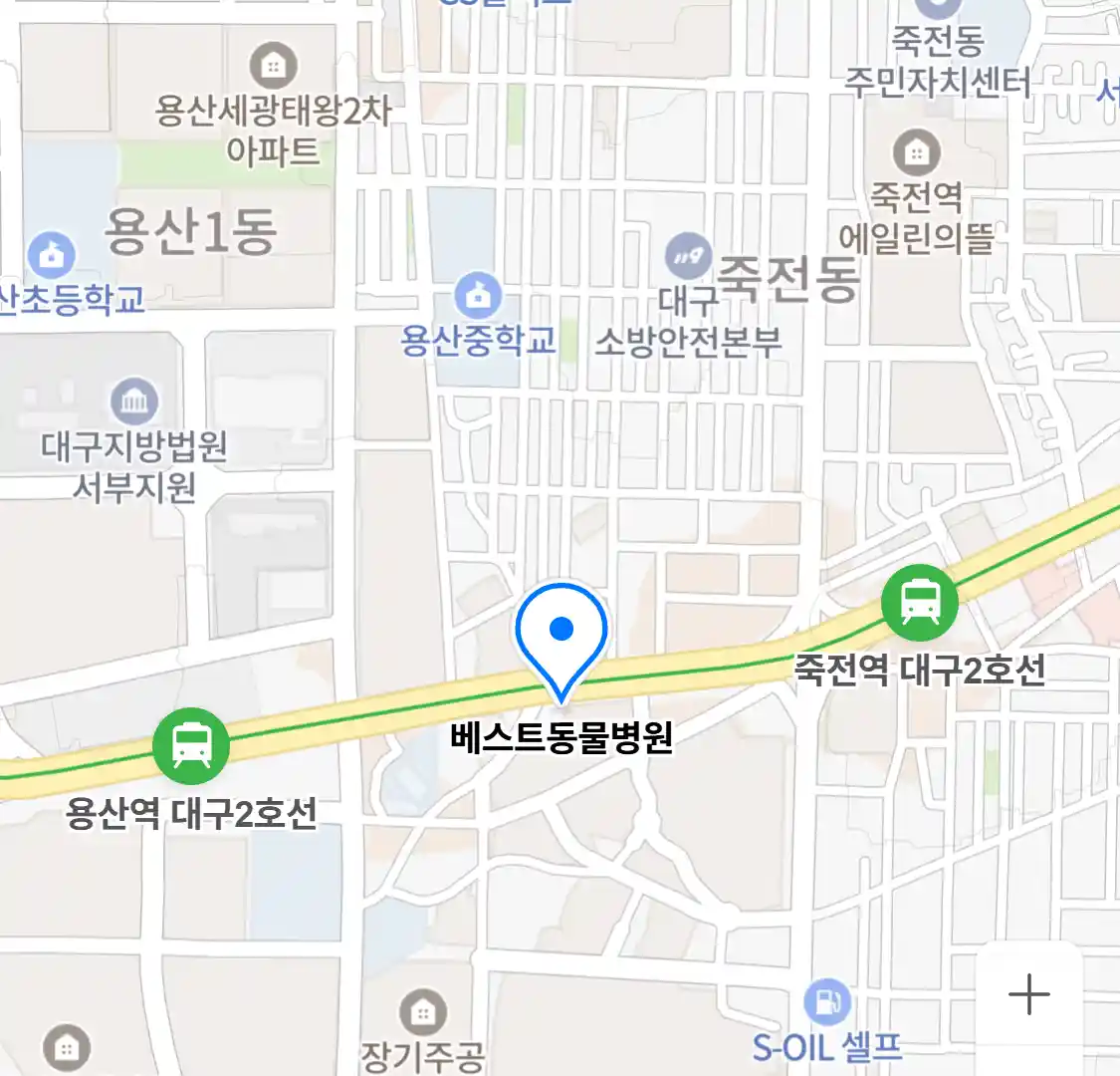 베스트동물병원