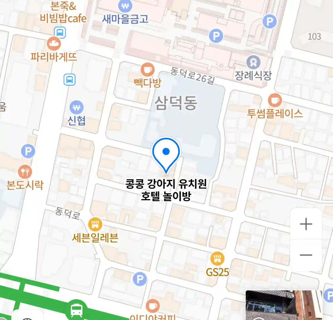 콩콩 강아지 유치원 호텔 놀이방