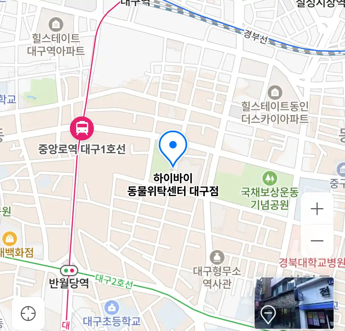 하이바이 동물위탁센터 대구점
