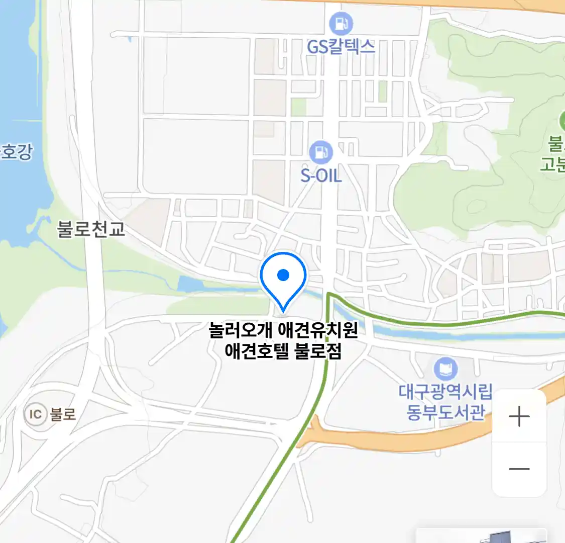 놀러오개 애견유치원 애견호텔 불로점