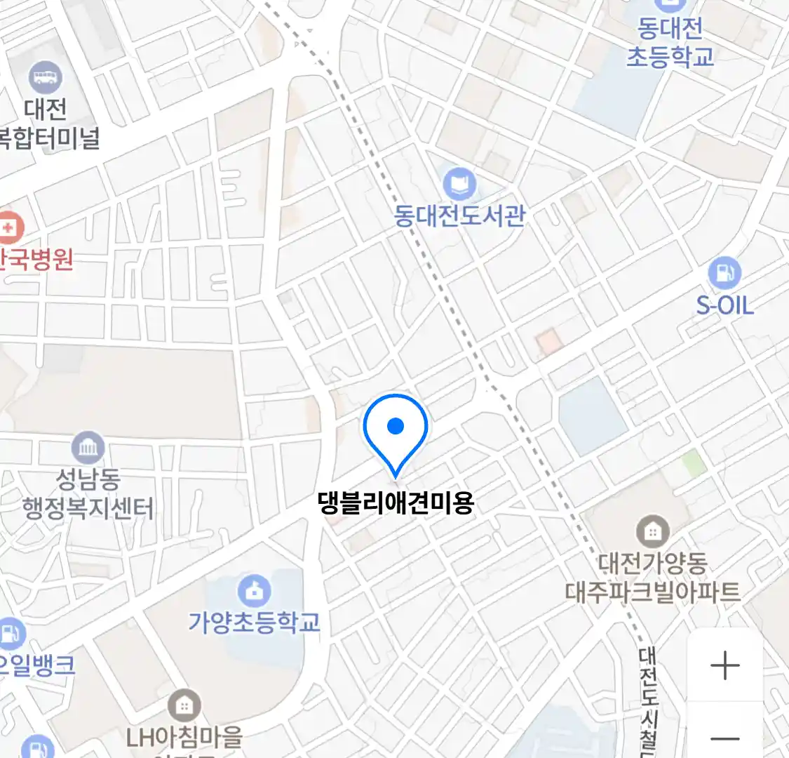 댕블리애견미용