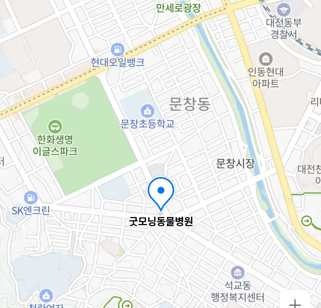 굿모닝동물병원