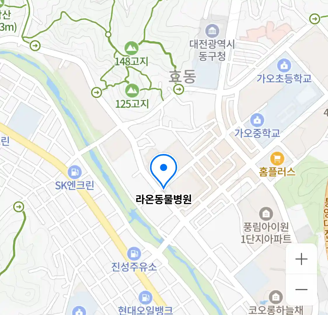 라온동물병원