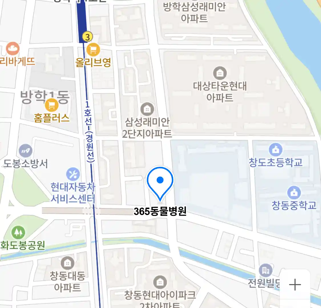 365동물병원