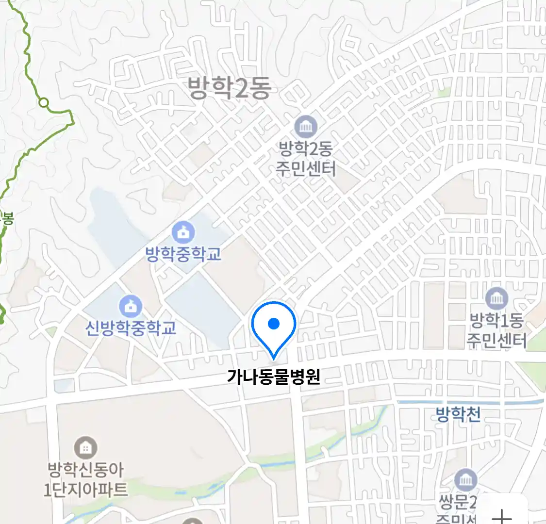 가나동물병원