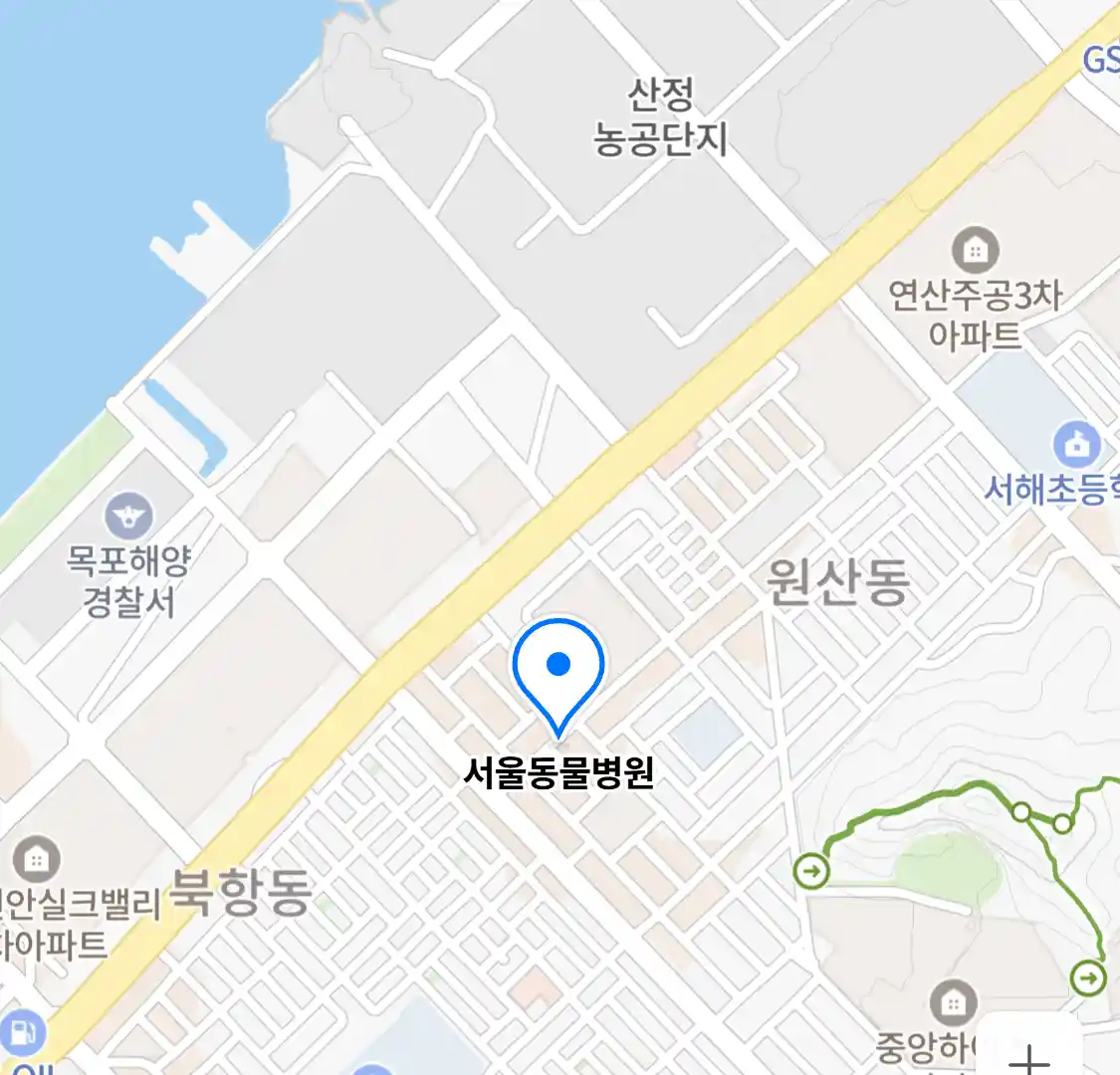 서울동물병원