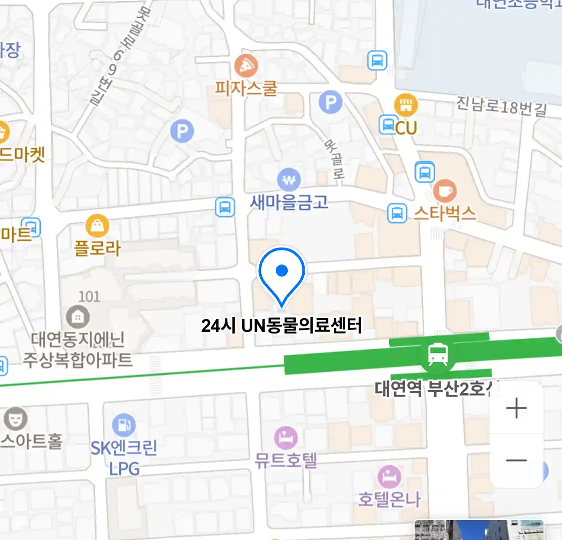 24시 UN동물의료센터