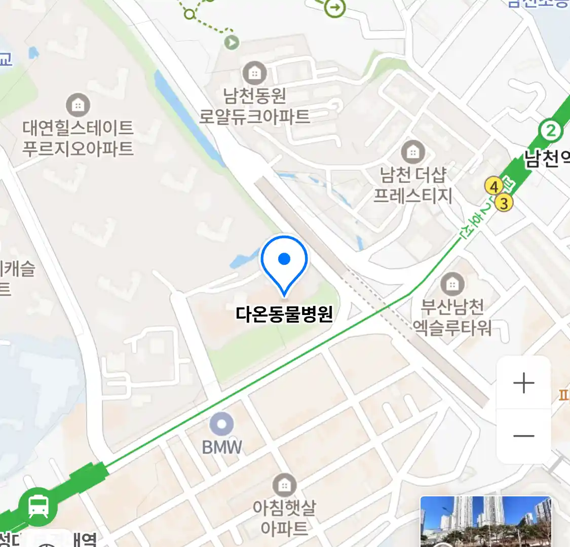 다온동물병원