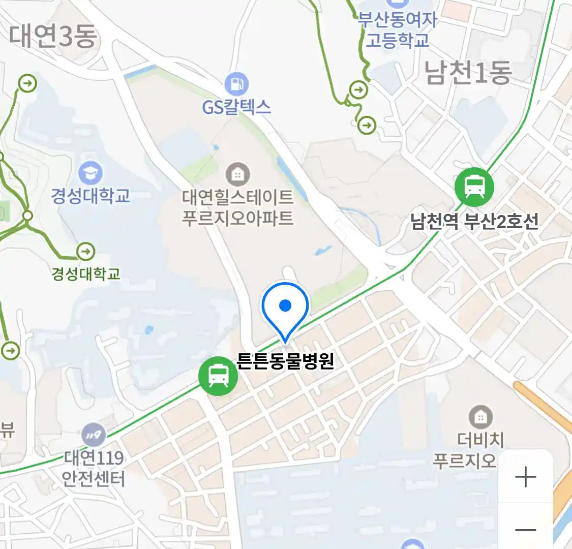 튼튼동물병원
