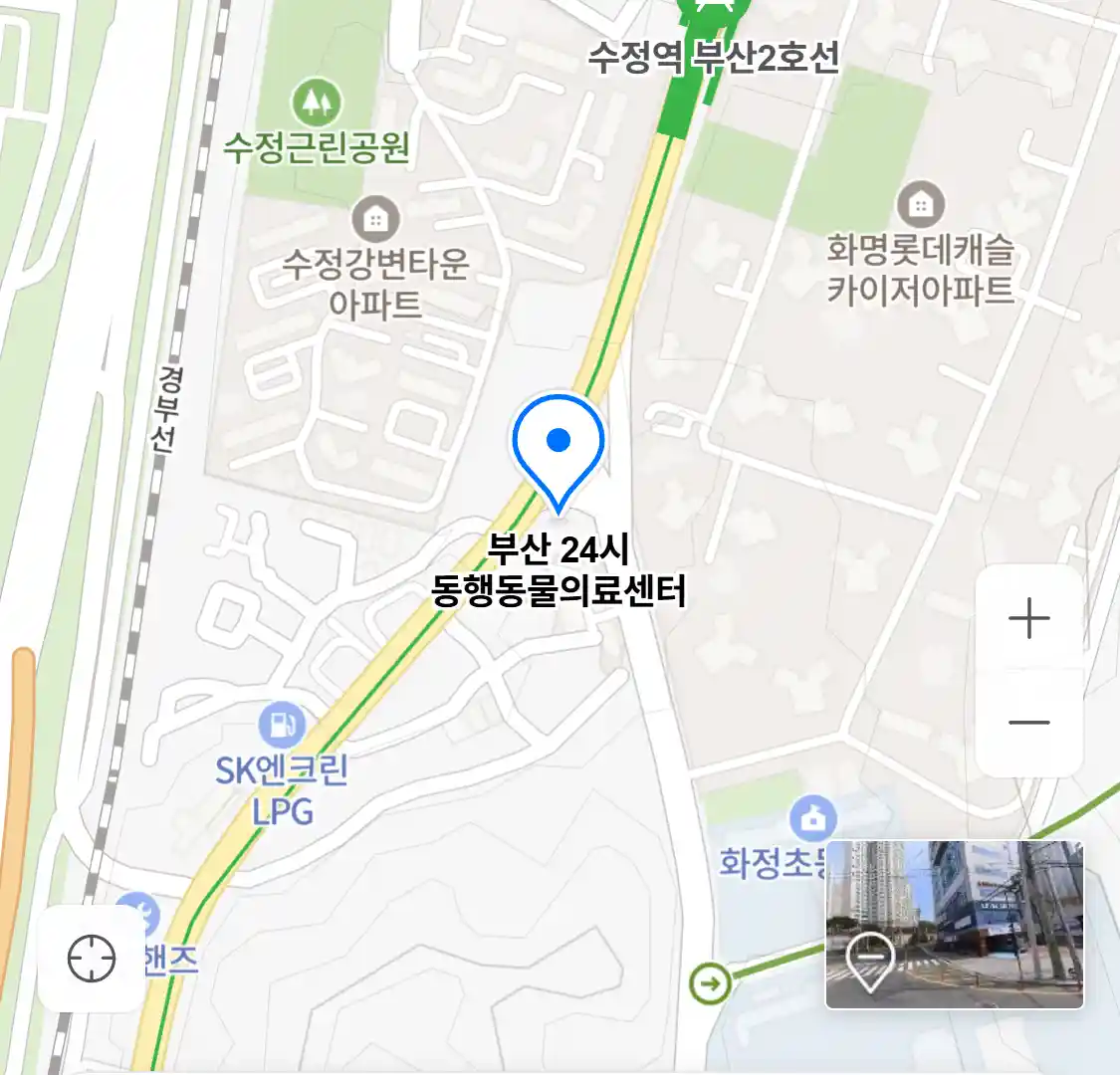 부산 24시 동행동물의료센터
