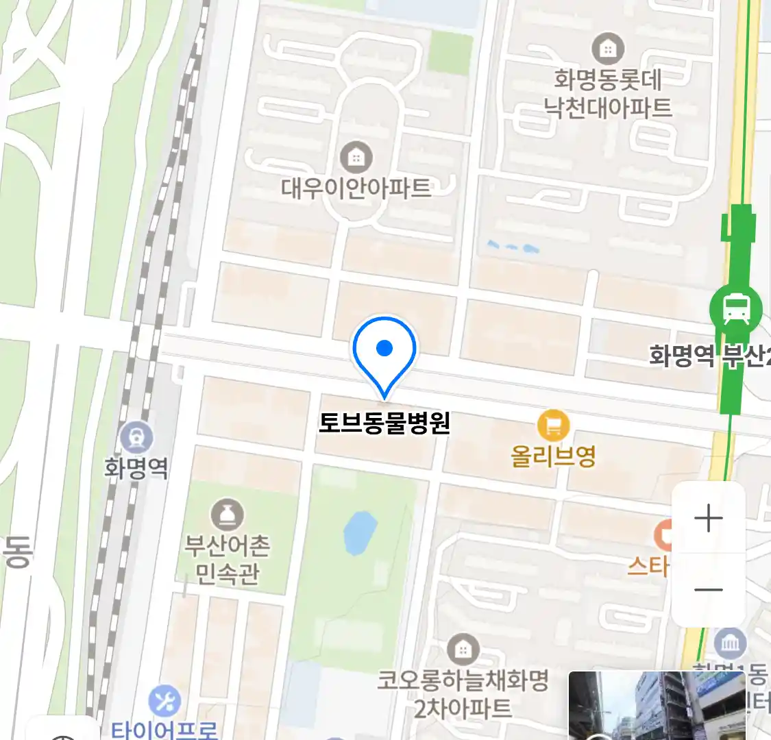 토브동물병원
