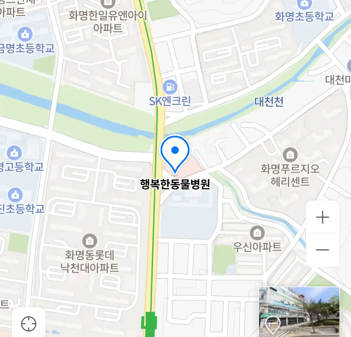 행복한동물병원