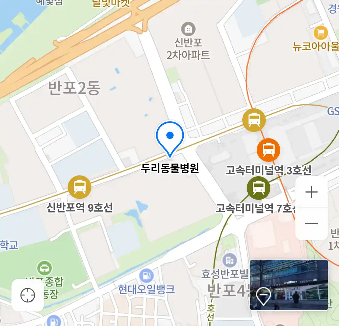 두리동물병원