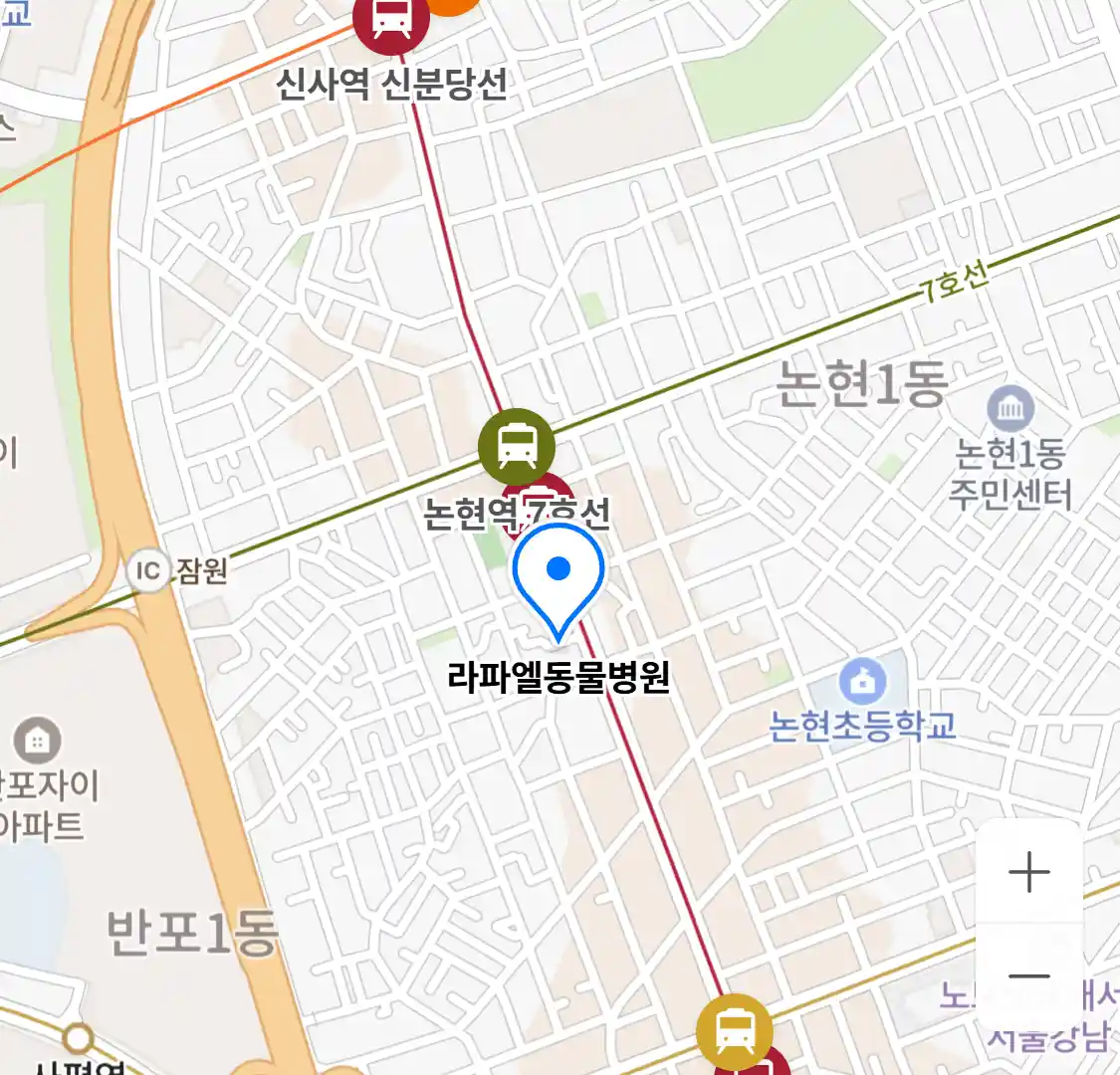 라파엘동물병원