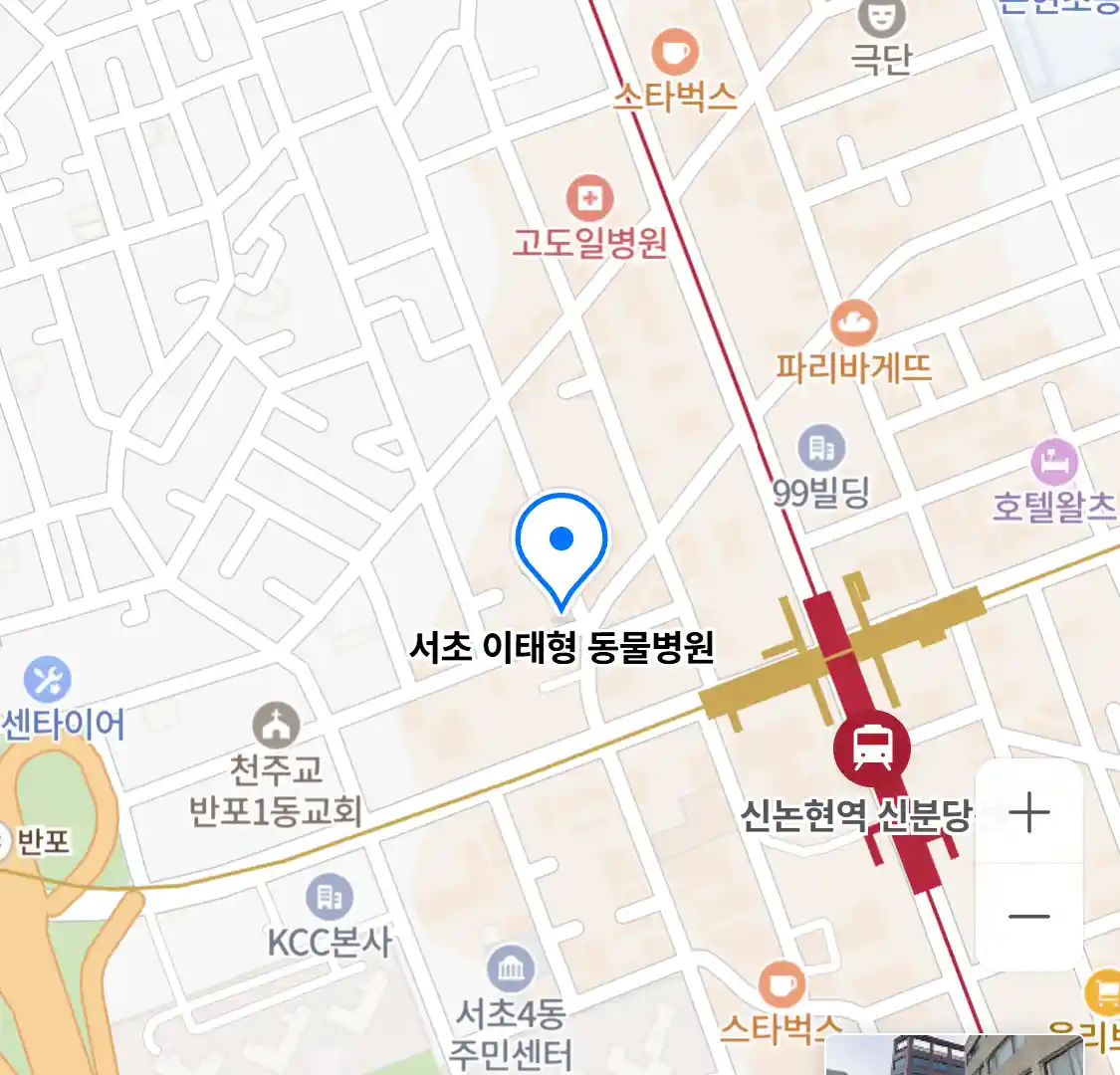 서초 이태형 동물병원