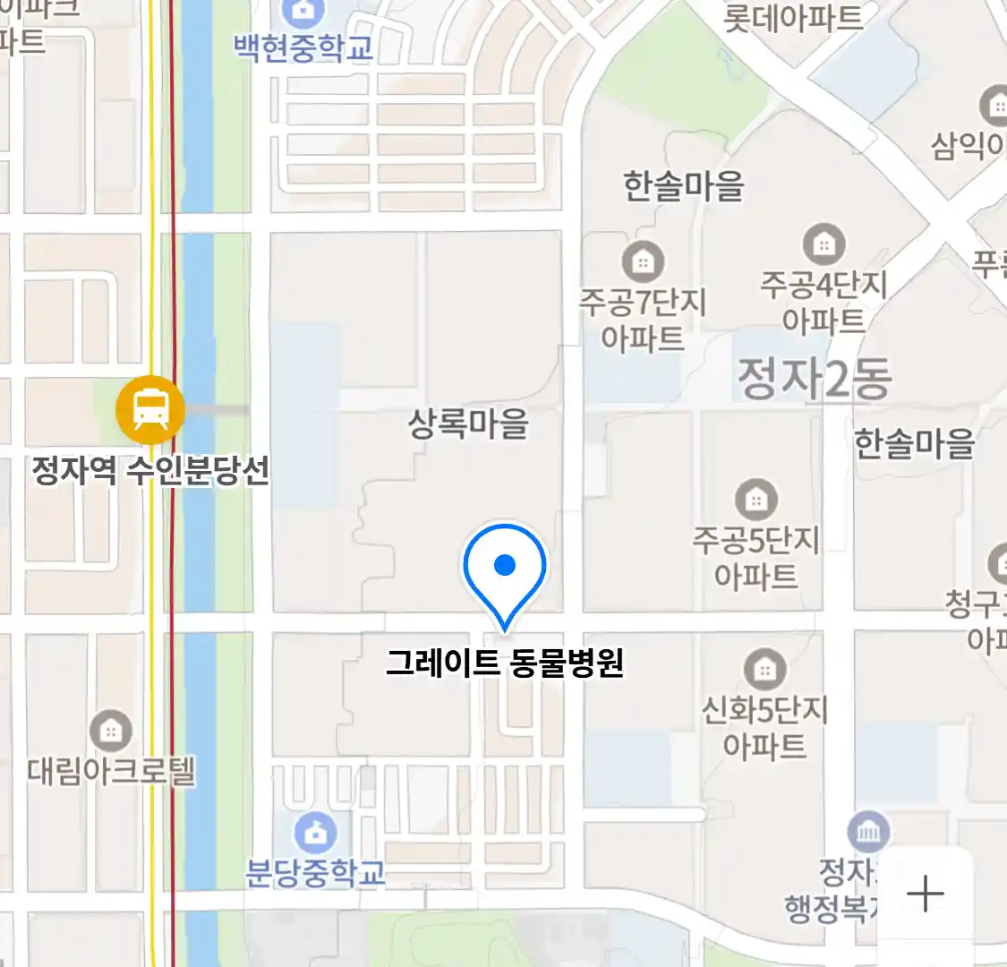 그레이트 동물병원