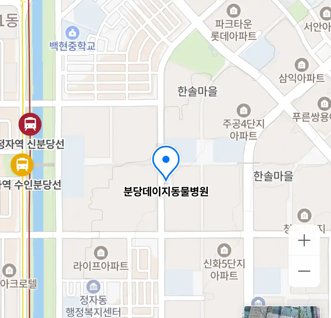 분당데이지동물병원