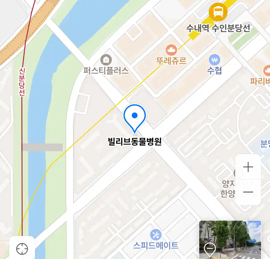 빌리브동물병원