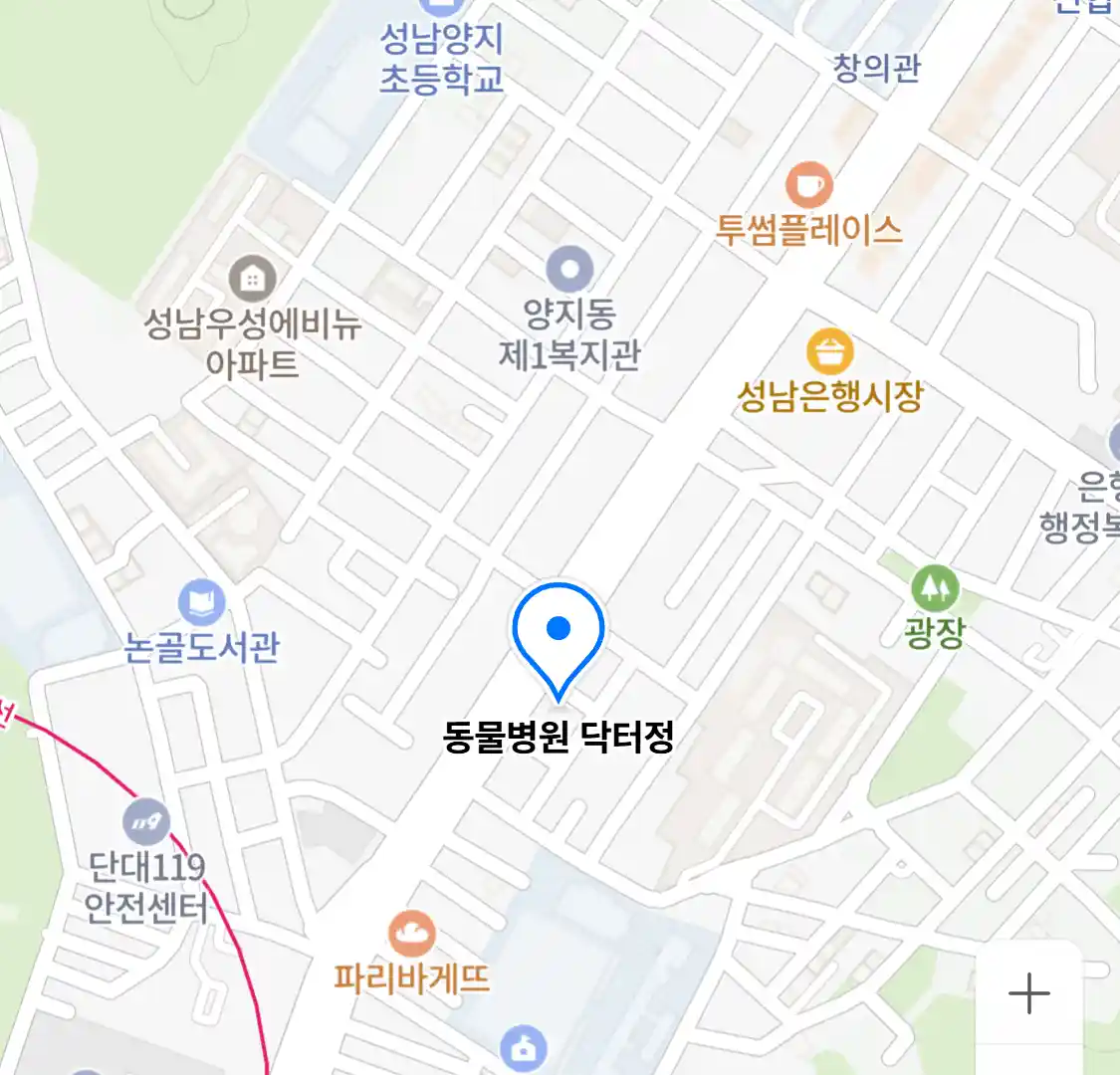 동물병원 닥터정