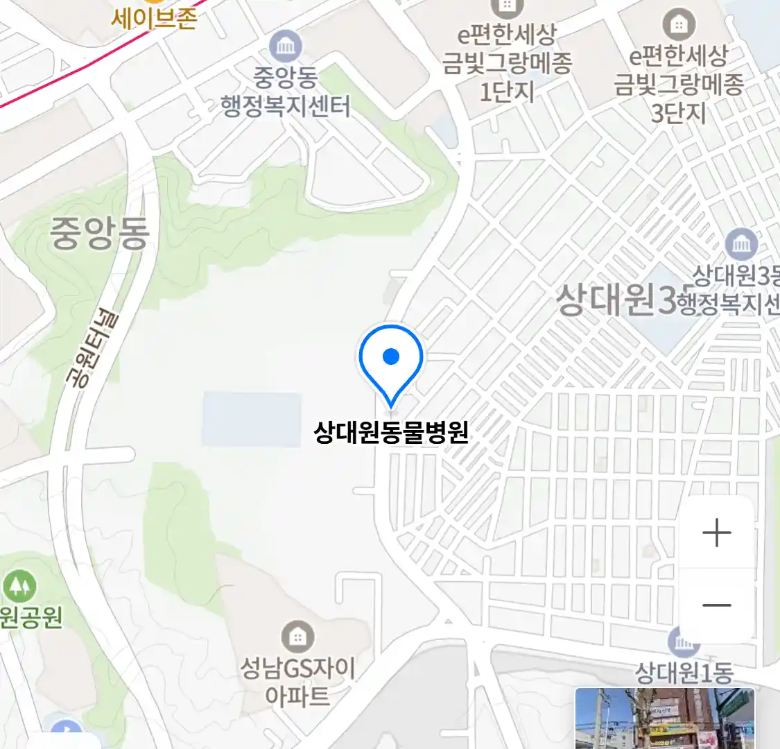 상대원동물병원