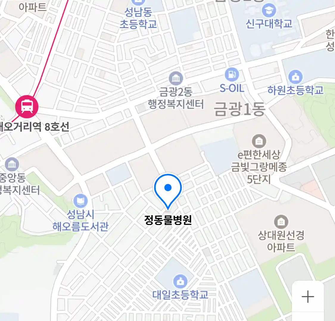 정동물병원