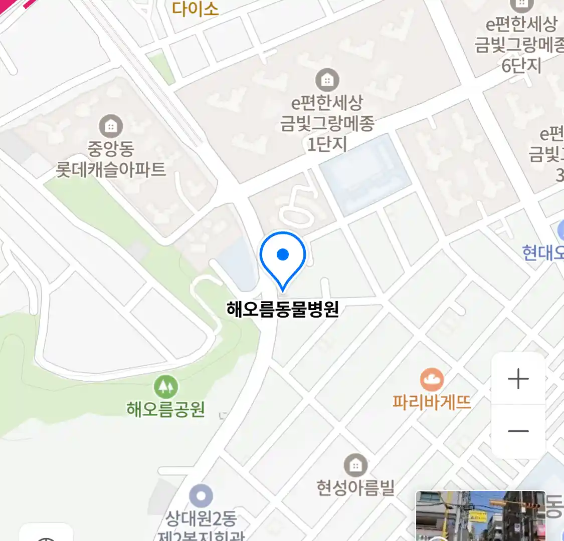 해오름동물병원