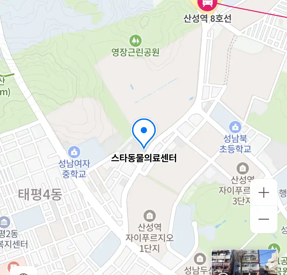 스타동물의료센터