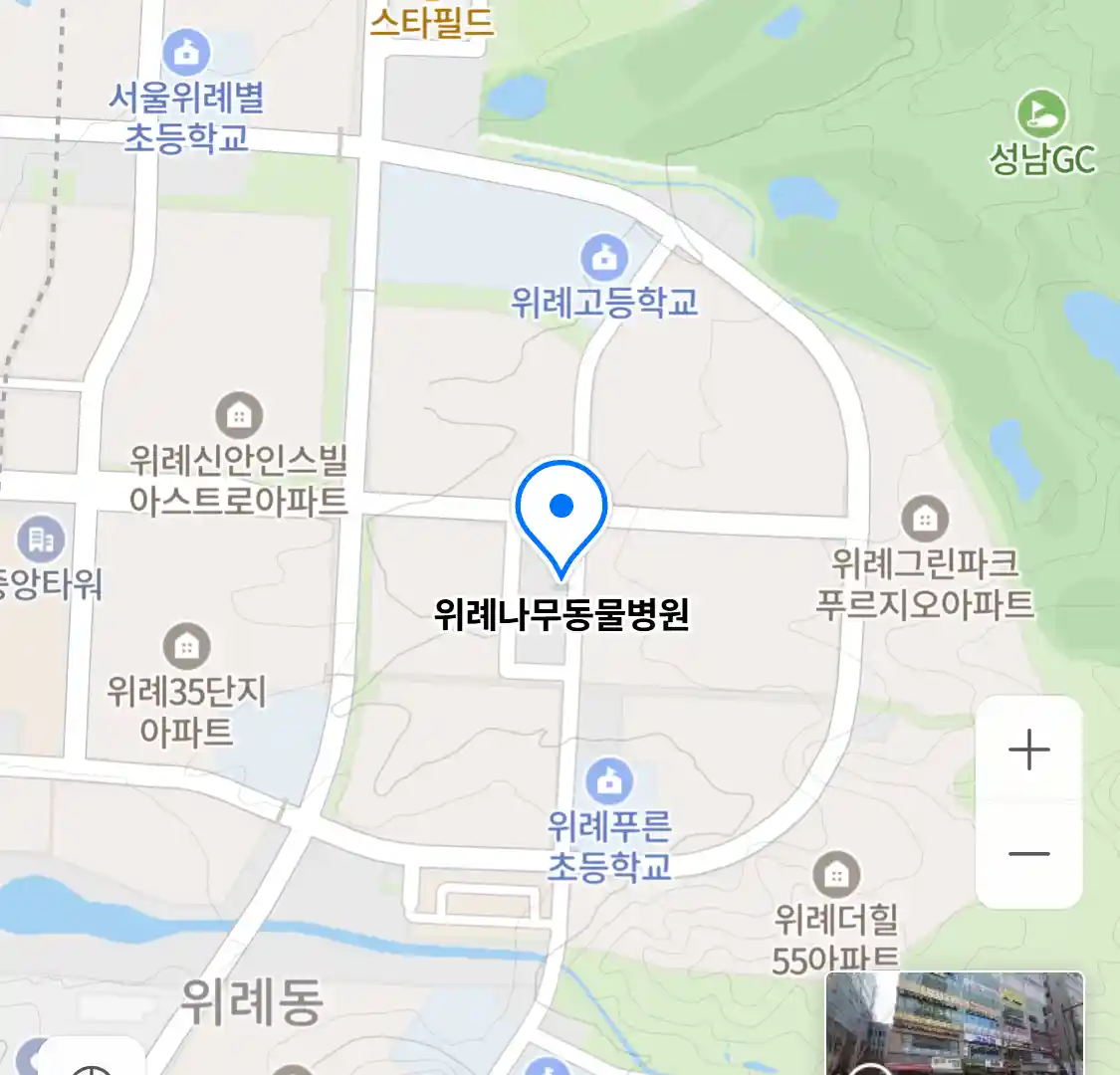 위례나무동물병원