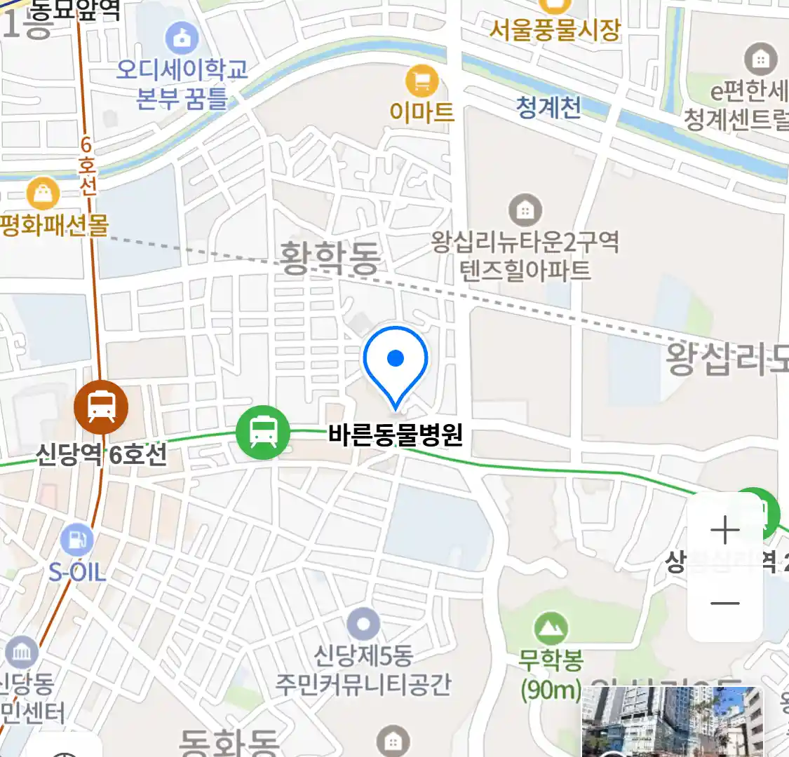 바른동물병원