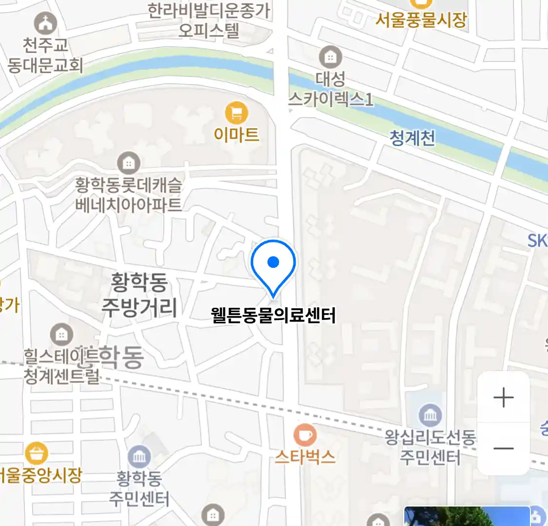 웰튼동물의료센터