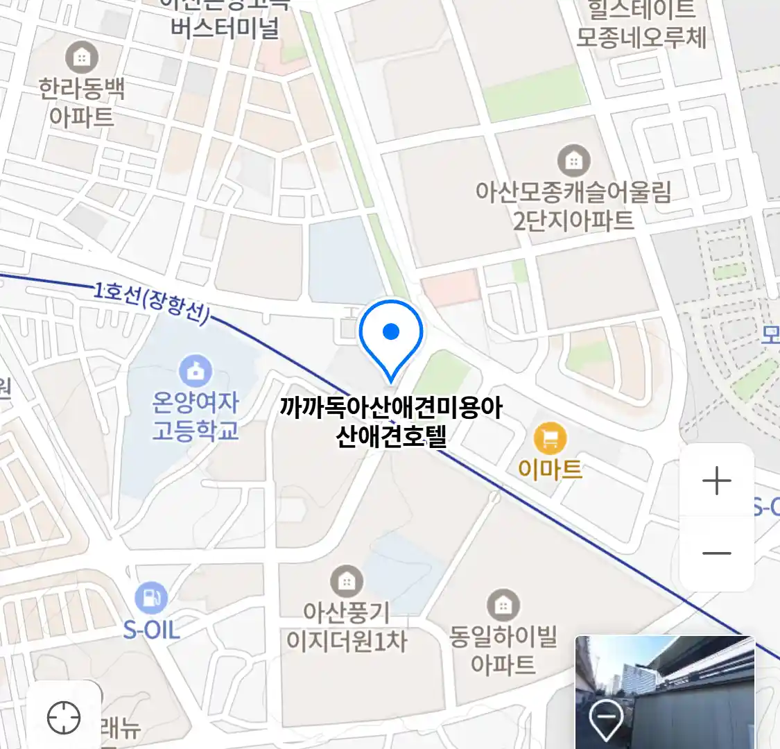 까까독아산애견미용아산애견호텔