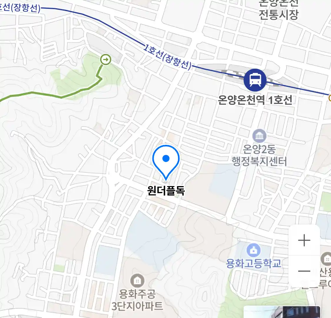 원더플독