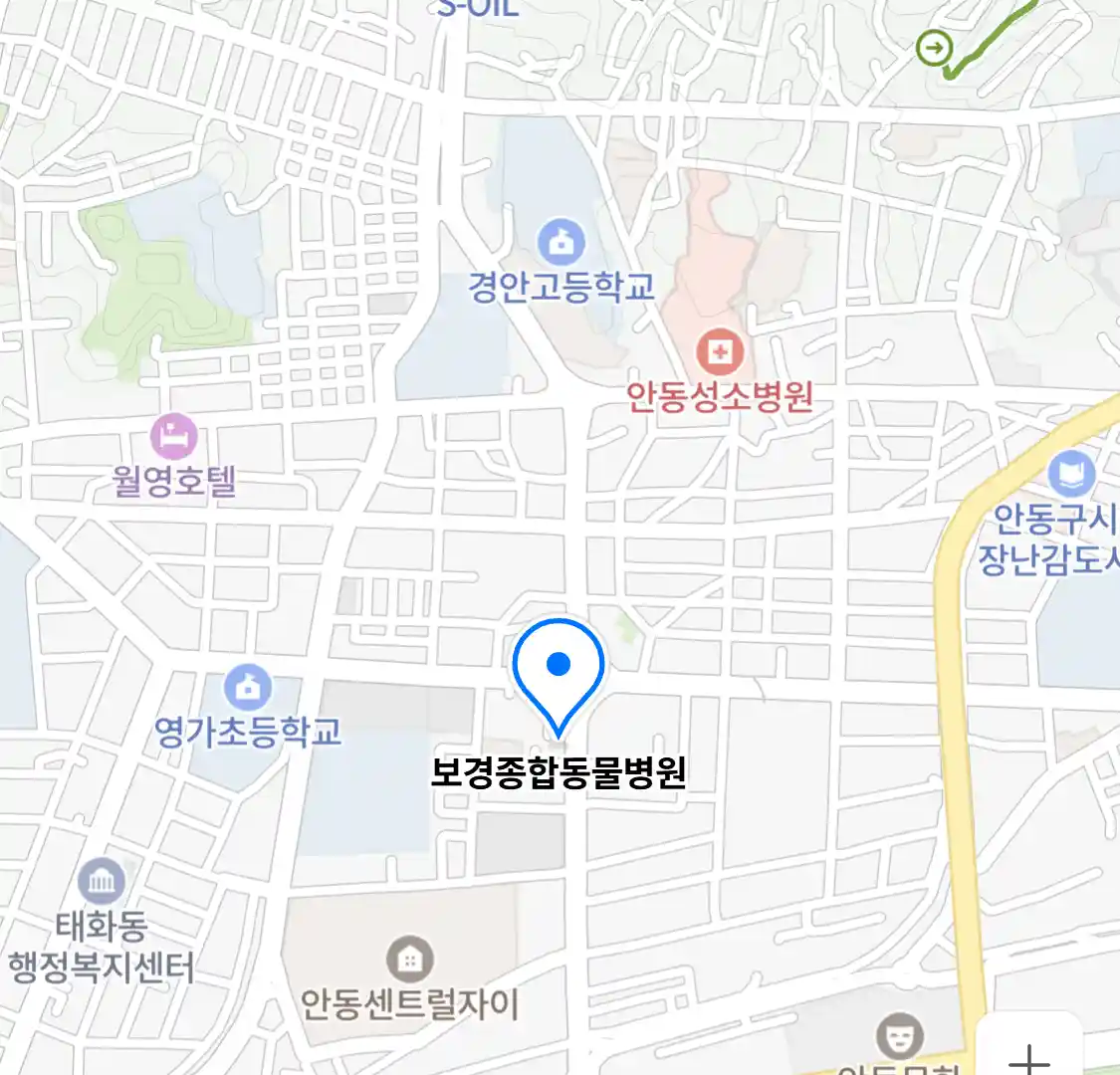 보경종합동물병원
