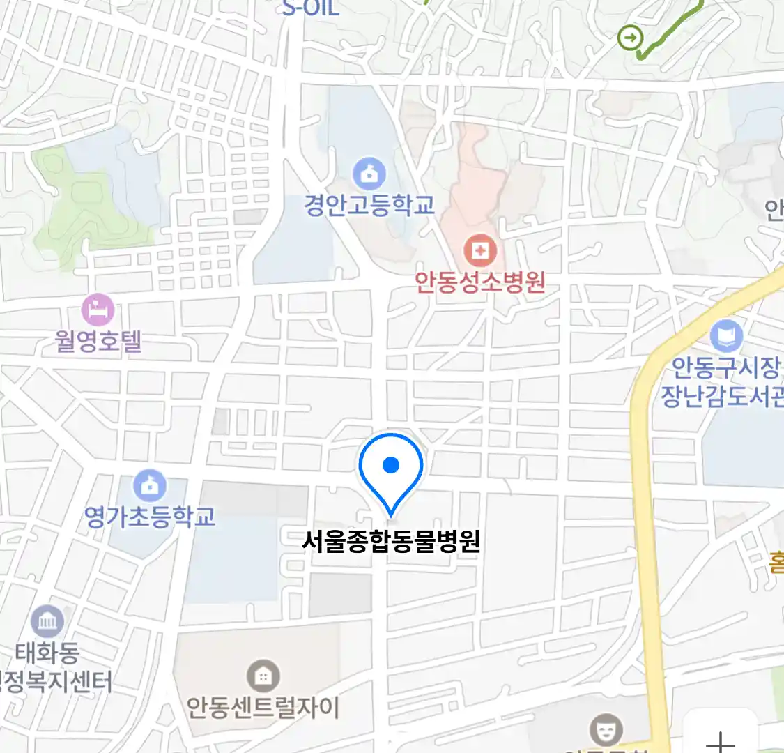 서울종합동물병원