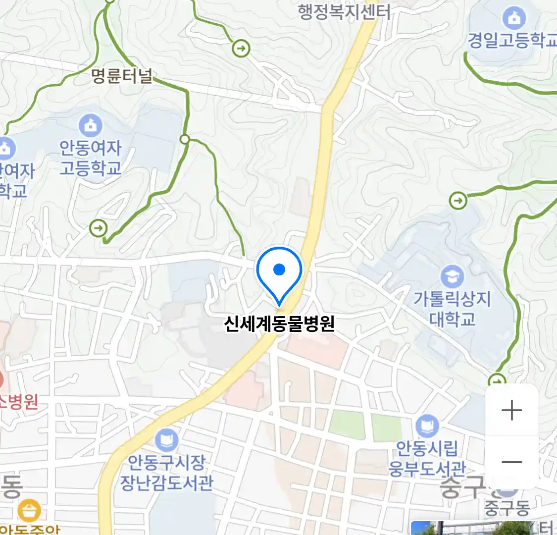 신세계동물병원