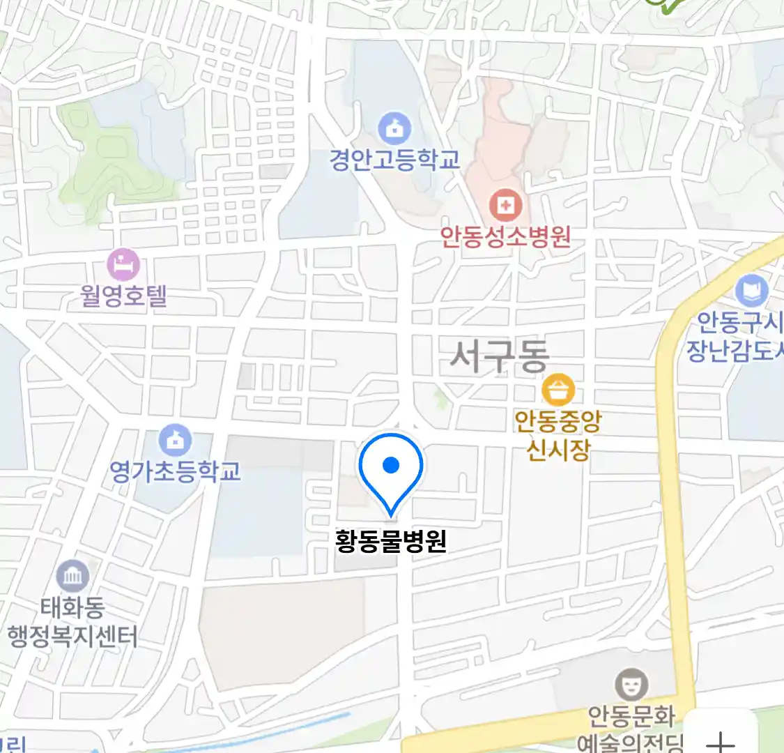 황동물병원