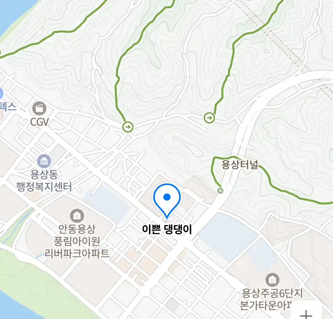 이쁜 댕댕이