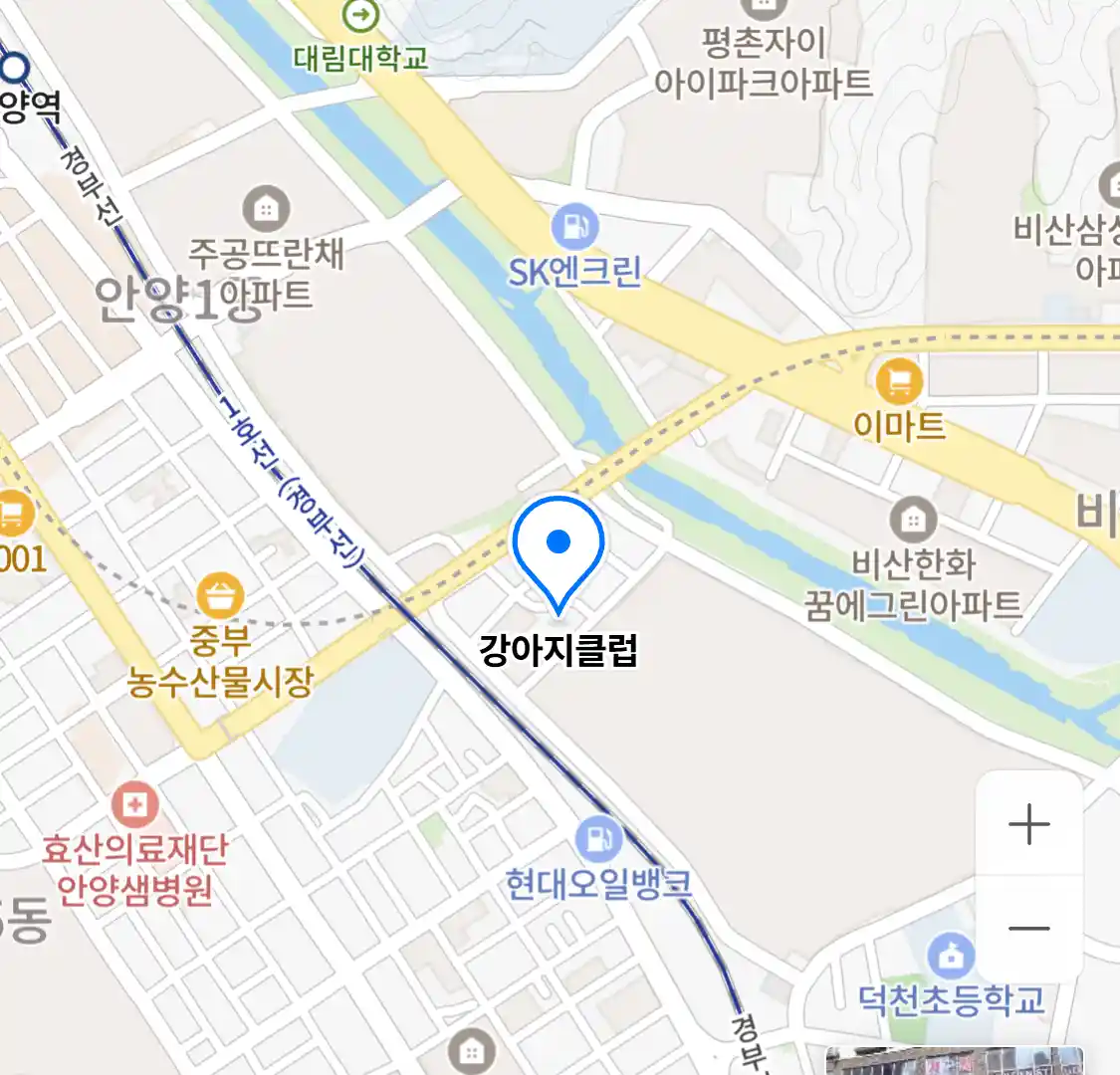 강아지클럽