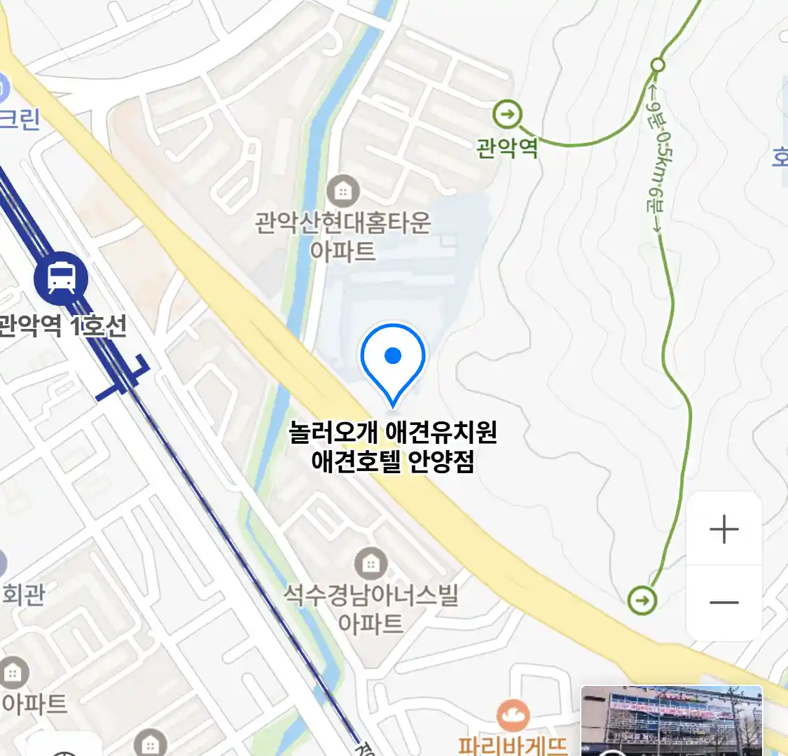 놀러오개 애견유치원 애견호텔 안양점